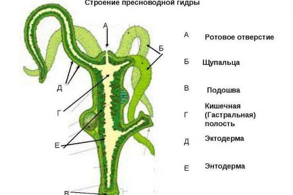 Кракен не грузит