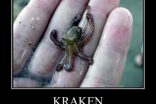 Kraken рабочее зеркало onion