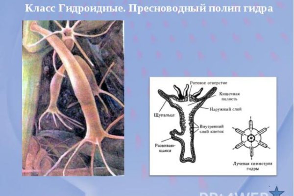 Кракен маркет даркнет только через тор