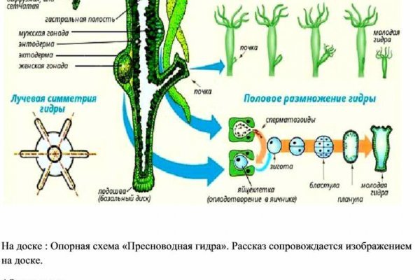 Что за кракен маркет