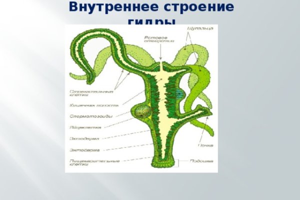 Кракен даркнет как зайти