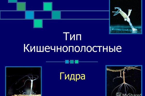 Кракен обход