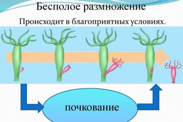 Магазин даркнета