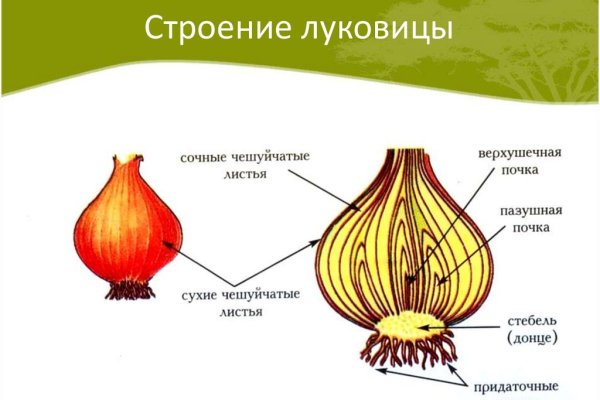 Как восстановить аккаунт на кракене даркнет