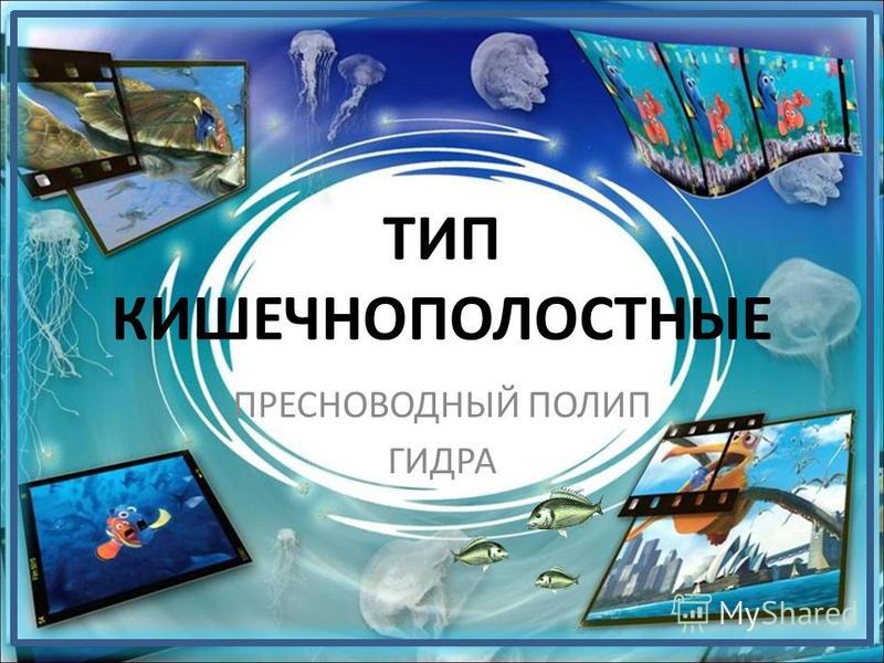 Кракен что продается